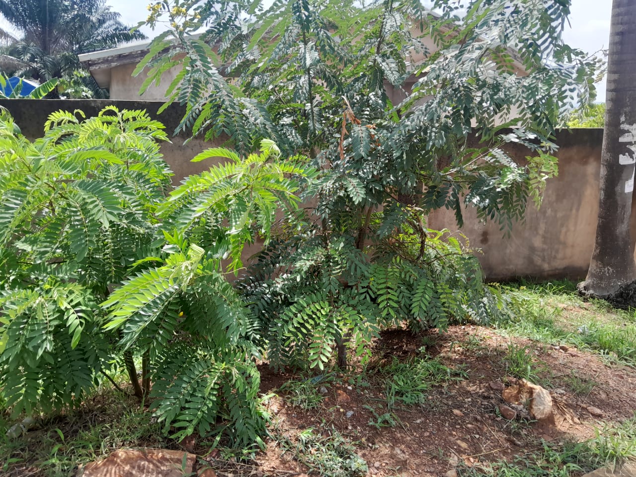 WhatsApp Image 2024-05-17 at 12.46.10 PM