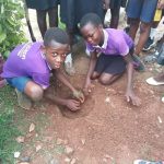 Pupil of V&C school planting a tree